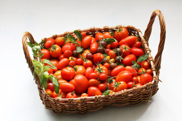 a wicker rectangular basket with red tomatoes of different sizes and varieties on a white.