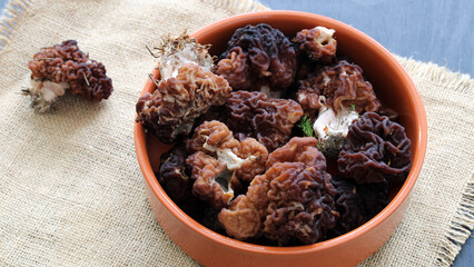 Gyromitra esculenta. conditionally edible mushrooms in a clay bowl, black countertop. spring...