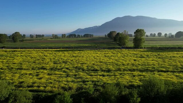 Beautiful Colorful Crop Parcels Creating a Stunning Background in the Spring Morning Fields in Korca, Albania