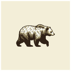 vintage vector hand drawn of grizzly bear walking