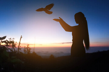 Silhouette pigeon fly out from women hand