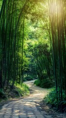 Obraz premium A dirt road winds through a dense bamboo forest. The towering bamboo trees line both sides of the road, creating a natural tunnel effect. The sunlight filters through the leaves, casting dappled shado