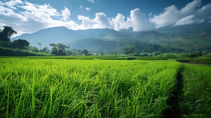A lush green field stretching into the distance, with towering mountains in the background under a clear blue sky. - Powered by Adobe