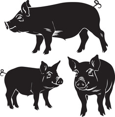 black and white animals