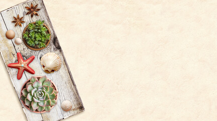 Travel background with shell, wood beads, toy starfish, succulents in pot on old wooden board....