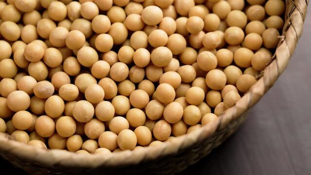 Raw soybeans in rustic wicker dish. Uncooked dry soy grains. Soya beans. Agriculture bio product. Rotation