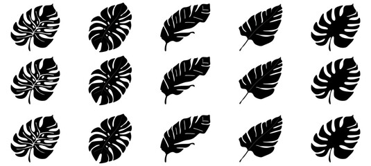 Tropical Monstered Black leaves set hand drawn line Art vector isolated on white Background