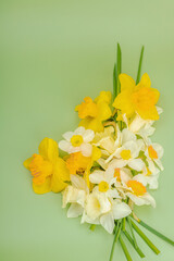 Festive spring composition with assorted blooming narcissus and homemade wicker basket