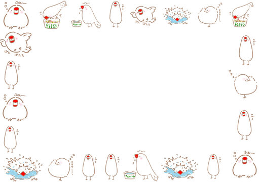 文鳥の日常のフレーム