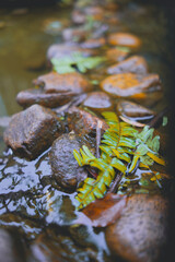 A Taste of Xingning - Snapshots