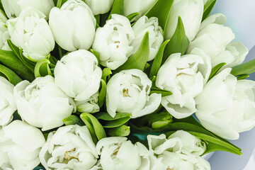 A bouquet of white tulips on a pastel green background. Blooming flowers, festive concept