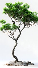 Fototapeta premium Isolated Thriving Tree with Verdant Foliage on White Background
