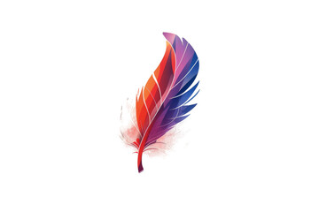 Colorful Feather on White Background