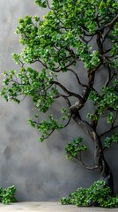 Lush Green Foliage of Organic Tree Branch on Minimalist Neutral Background