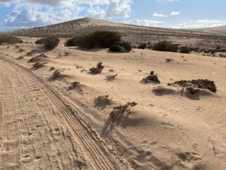 desert road to the top © Piotr