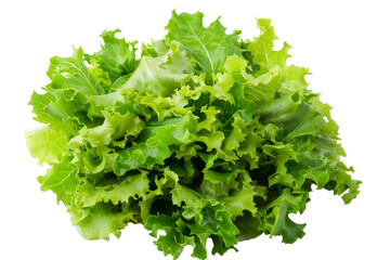 A Bunch of Lettuce on a White Background