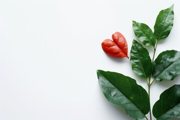 Minimalist composition of green leaves with a single red heart-shaped leaf