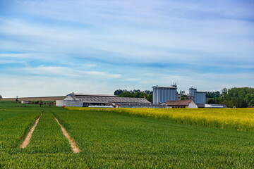 European countryside landscape. Farm and fields. Rural scenery, farmland