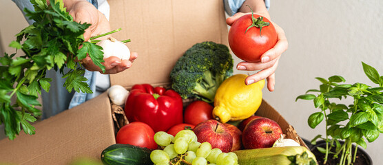 Person unpacking box with farm grown organic vegetables and fruits. Delivering healthy farm...