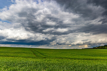 Storm is coming. Summer landscape with thunderclouds.