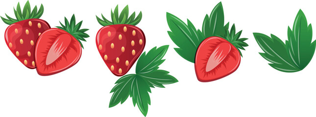 Strawberry illustations and slices of strawberries. Vector illustration of strawberries. Vector for decorative poster, emblem natural product, farmers market. 