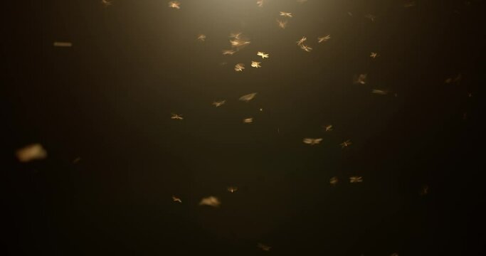 Creepy swarm of flying insects under a yellowed street light at night. Bugs swarming, real insect wildlife, or scary Halloween background.