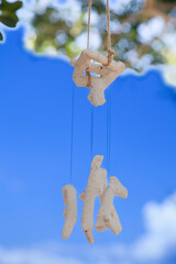 亜熱帯、入道雲、入江、