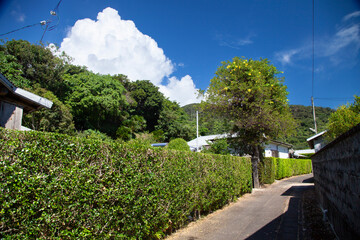 亜熱帯、入道雲、入江、集落の小径、真夏