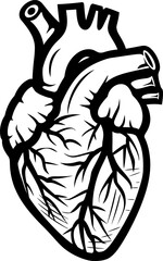 Human heart organ silhouette in black color. Vector template design illustration.