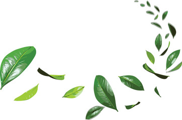 Leafy Spiral Motion of Flying Leaves on Transparent Backgrounds, 3D Rendered PNG Cutout