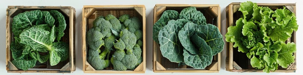 Obraz premium Fresh Broccoli Varieties on Display