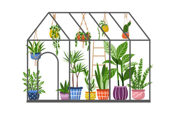 Vector glass planting modern greenhouse isolated on white background. Plants in pots garden clip art. Winter glass garden. Gardening on the plot.
