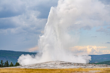 Old Faithful at Yellowstone National Park