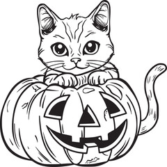 pumpkin cat. Collection kiiten with pumkin. Fuuny pets. Happy halloween