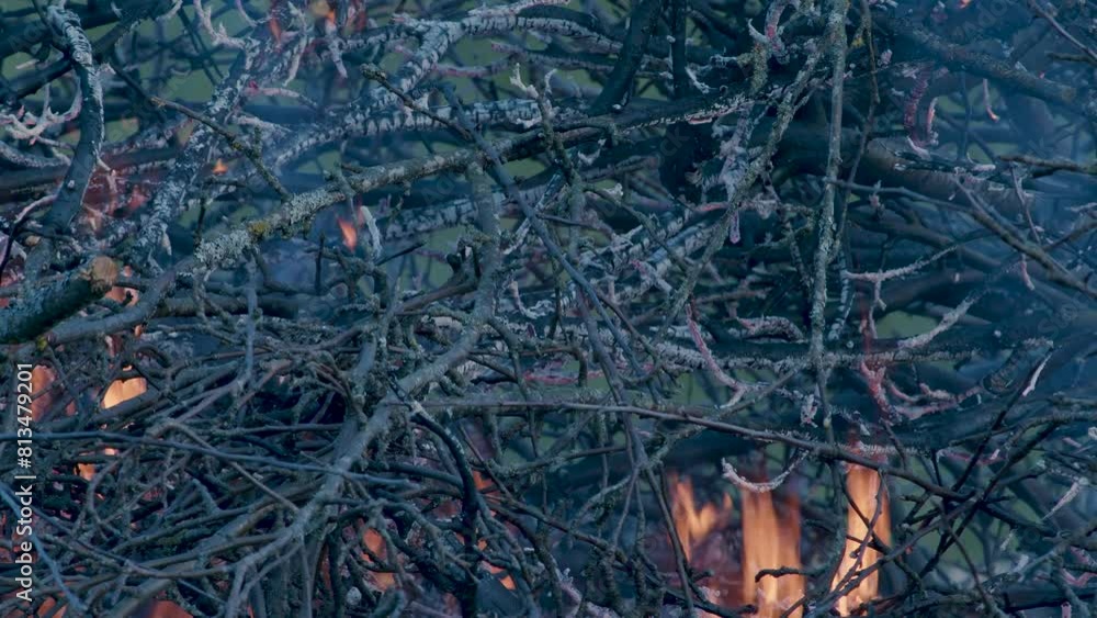 Poster burning pile stack of tree branches close up time lapse