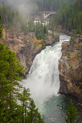 Lower Falls of the Yellowstone River, Yellowstone National Park