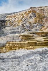 Mammoth Hot Springs at Yellowstone National Park