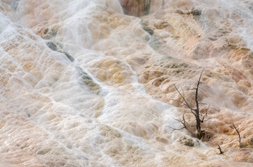 Mammoth Hot Springs at Yellowstone National Park