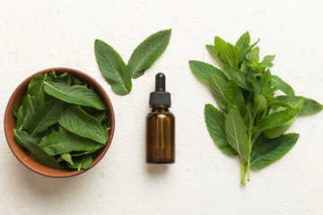Natural Mint Essential Oil in a Glass Bottle. organic cosmetics with herbal extracts of mint on...