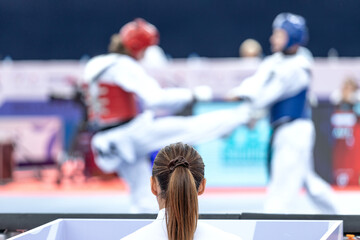 Taekwondo - martial art and combat sport competition game