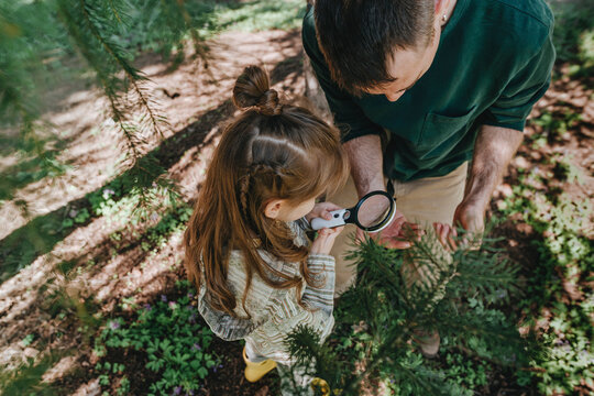 Girl and father looking at bug with magnifying glass in forest