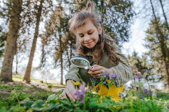 Smiling girl looking at flower with magnifying glass in forest
