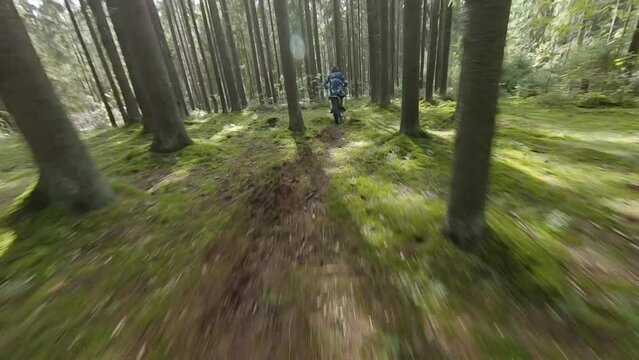 cinematic fpv drone video of two motocross riders motorbiking through a large green forest during a hot sunny day in the countryside.