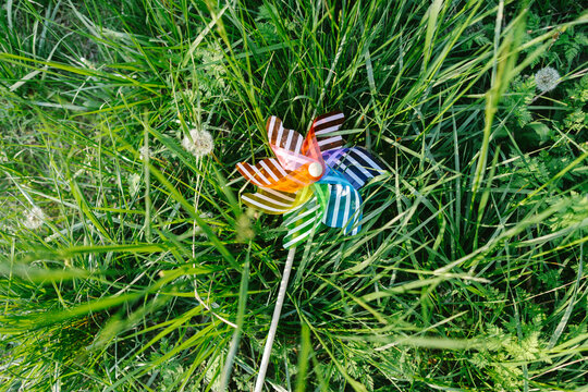 Rainbow pinwheel toy lying over grass