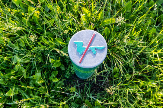 No dogs sign on bollard amidst green grass at public park