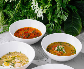 Assorted traditional soups and grilled meat dish on white table
