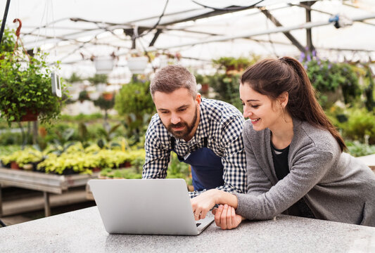 Female business owner and gardener looking at order in laptop, preparing flowers and seedlings for customer. Small greenhouse business.