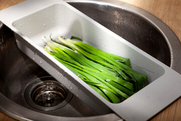 Spring onion in kitchen sink. Green onions with water drops in colander. Vegetable greens washing