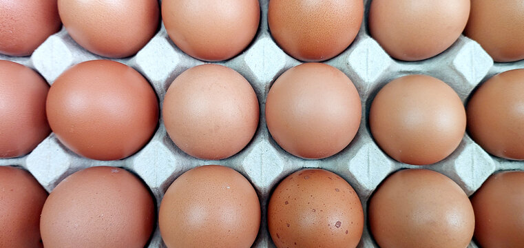 Eggs or chicken eggs in cardboard box isolated on white background
