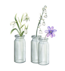 Watercolor flower arrangement with white bouquets of delicate lilies and snowdrops of the valley and delicate lilac scilla. Hand drawn first spring flowers in glass jar on isolated white background.